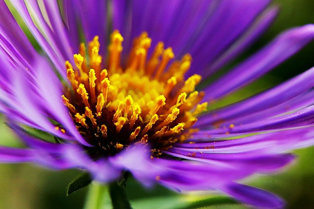 Photograph by Олег Башкуров