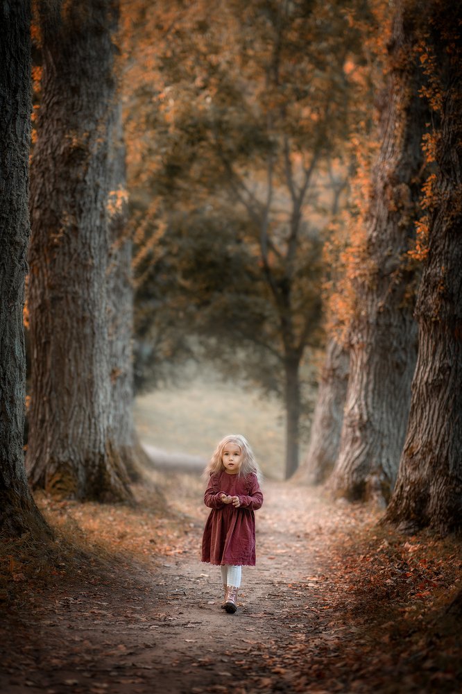 Фотография автора Aleksandr Kurnosov