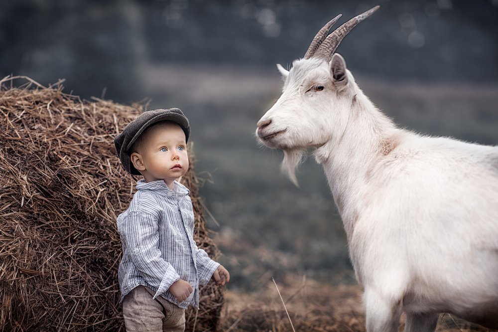 Фотография автора Aleksandr Kurnosov