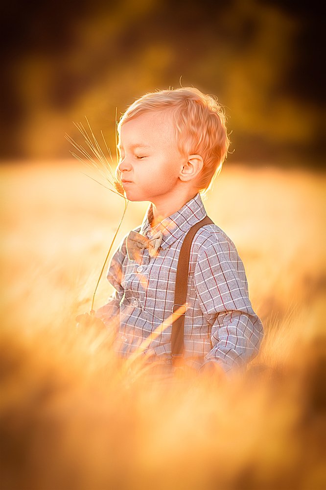 Фотография автора Aleksandr Kurnosov