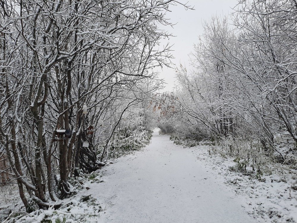 Photograph by Светлана Лебедева