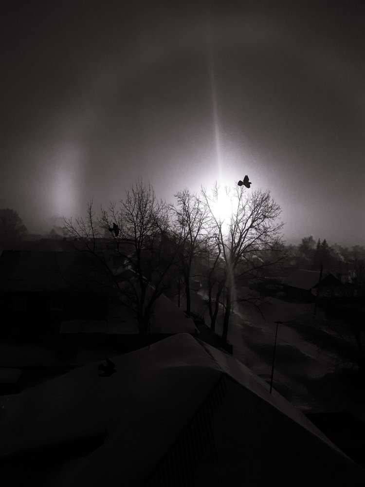 Photograph by Анна Кабиева