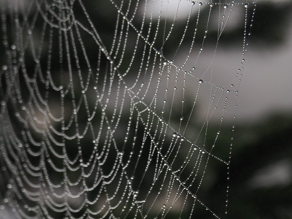 Photograph by Cornelia Ilie