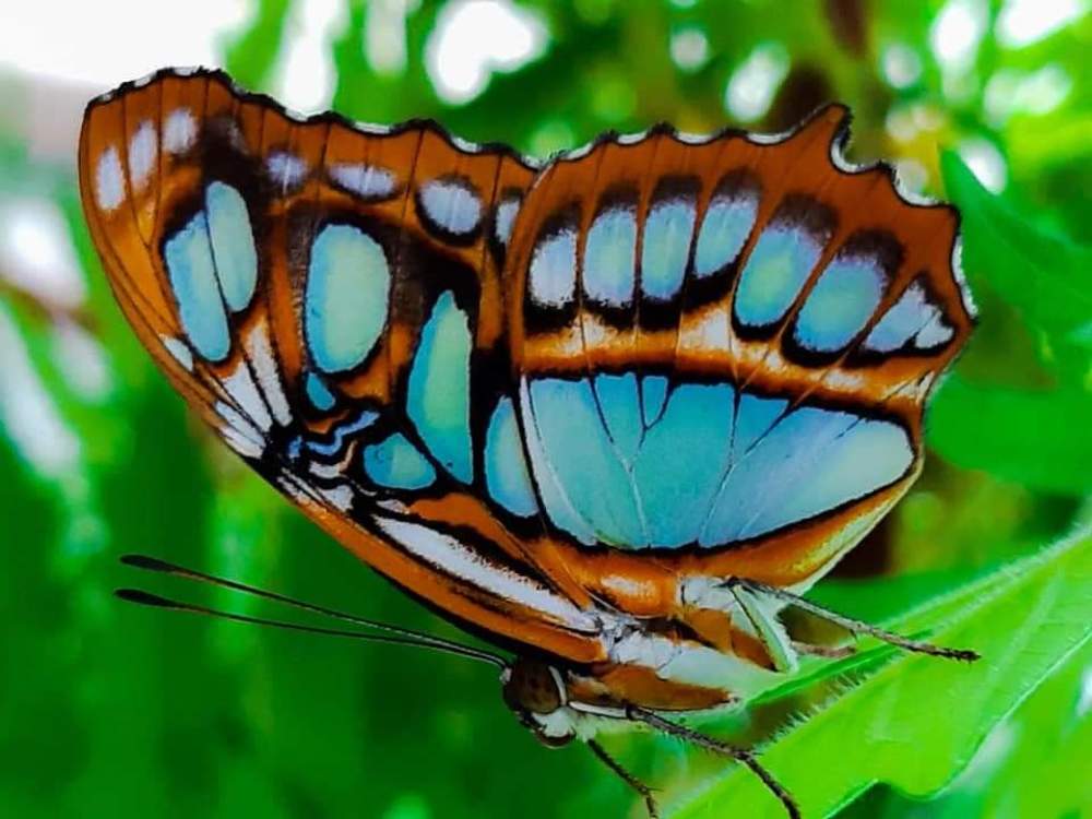 Photograph by Cindy Flick