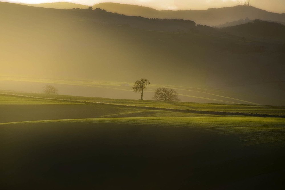 Photograph by giuseppe perrotta