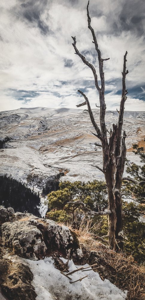 Photograph by Ольга Рубан