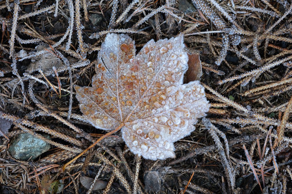 Фотография автора Daniel Knezevic