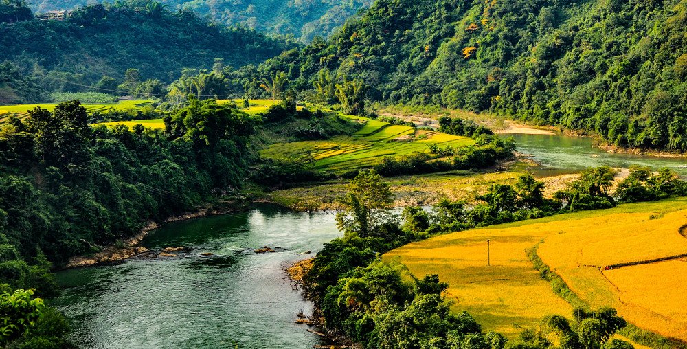 Photograph by PHUONG NGUYEN THANH