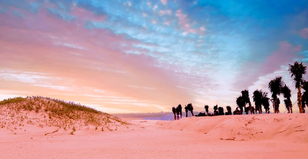 Photograph by PHUONG NGUYEN THANH