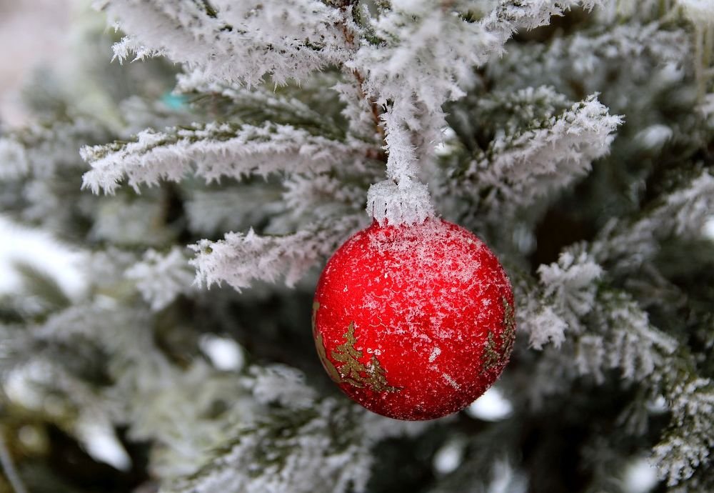 Photograph by Юрий Варюхин