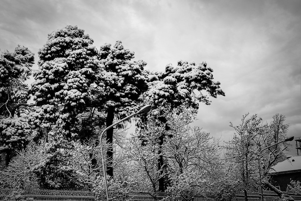 Photograph by tamaddon homayoun