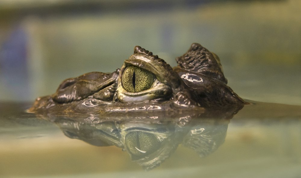 Photograph by Василий Либко