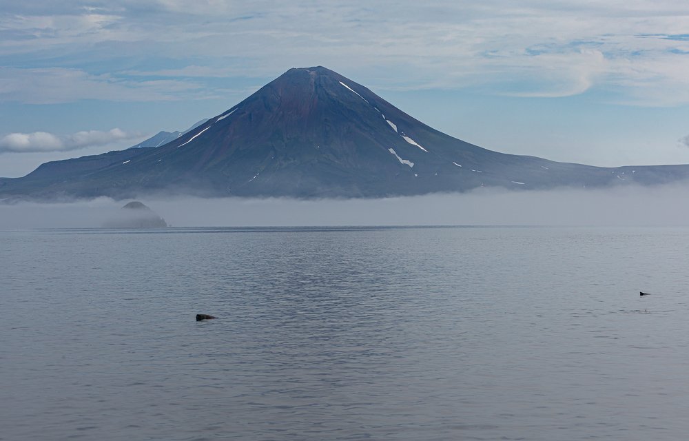 Photograph by Александр Максин