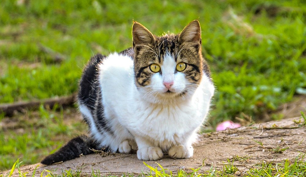 Photograph by islam elsayed eldaramlly