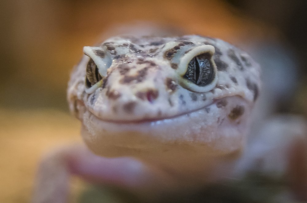 Photograph by Василий Либко