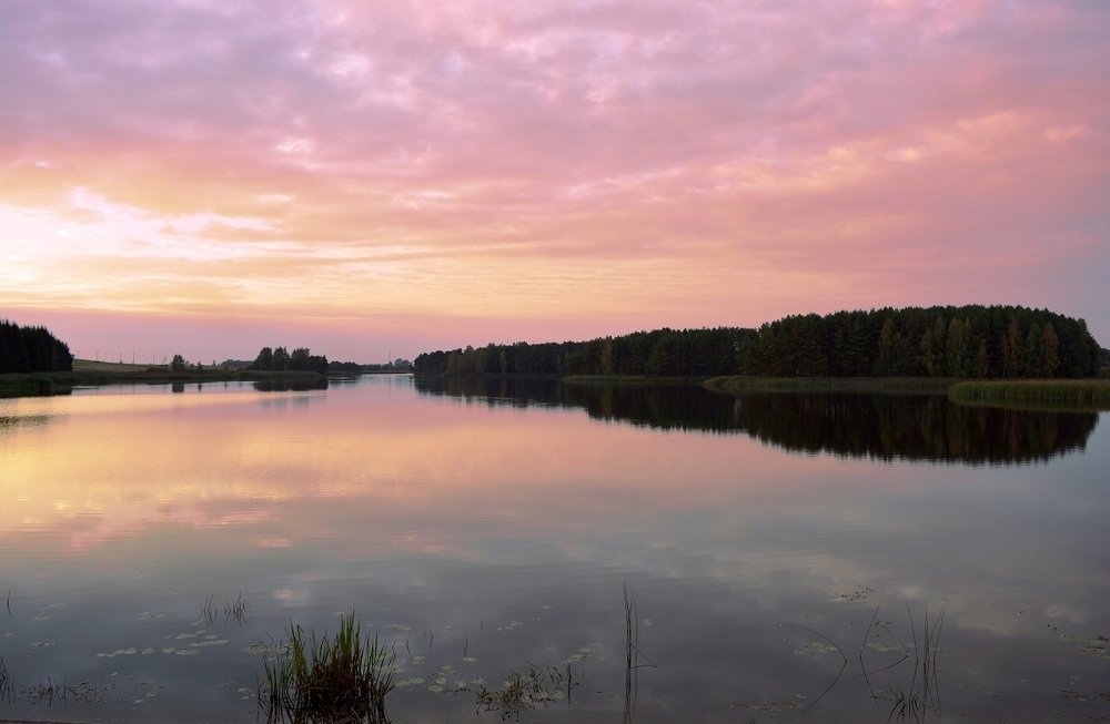 Photograph by Toma Samuole