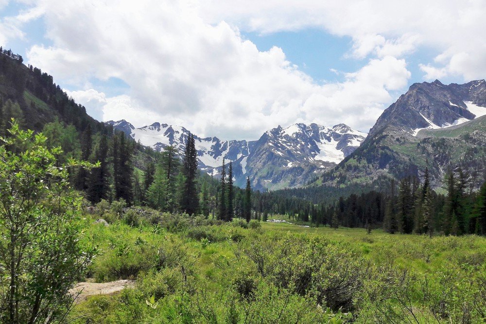 Photograph by Фурсова Людмила