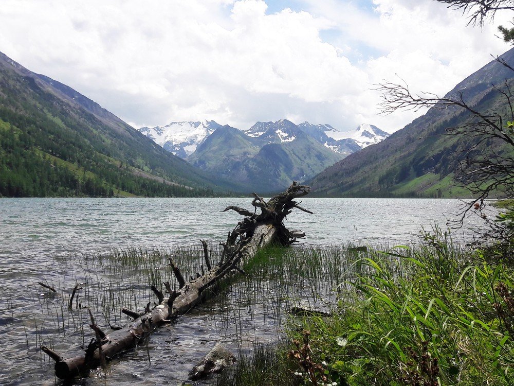 Photograph by Фурсова Людмила