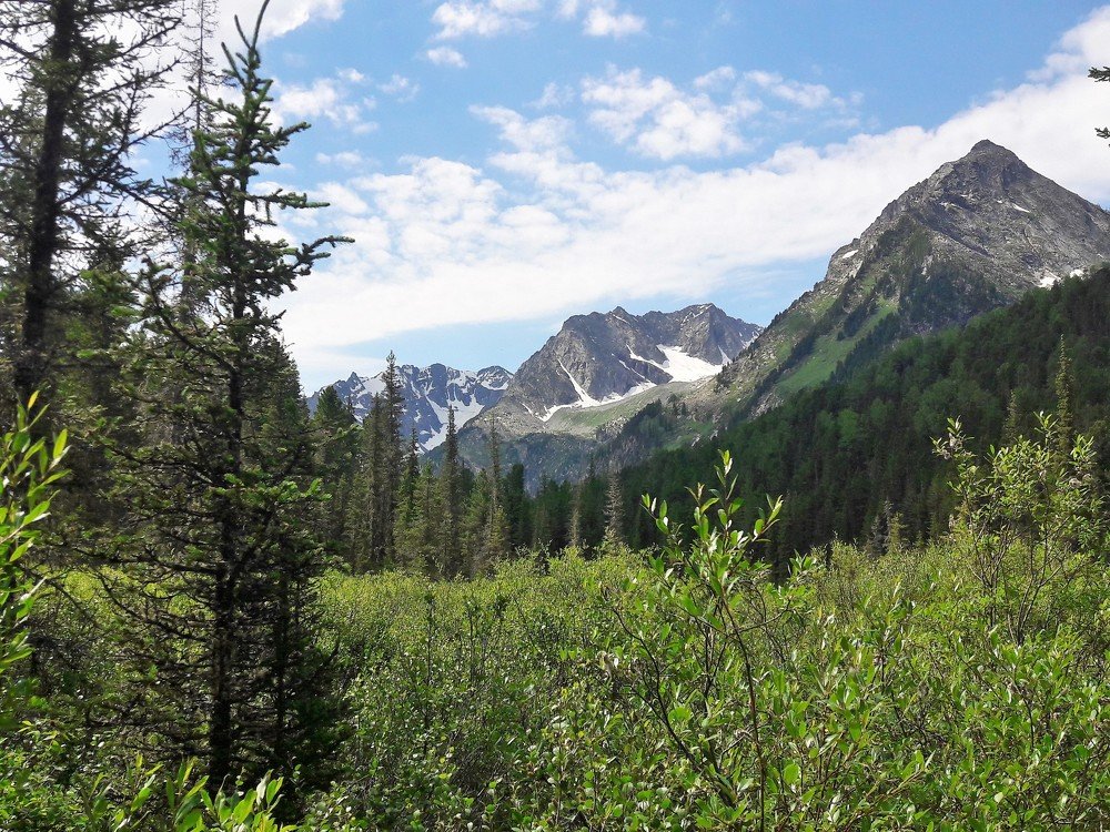 Photograph by Фурсова Людмила