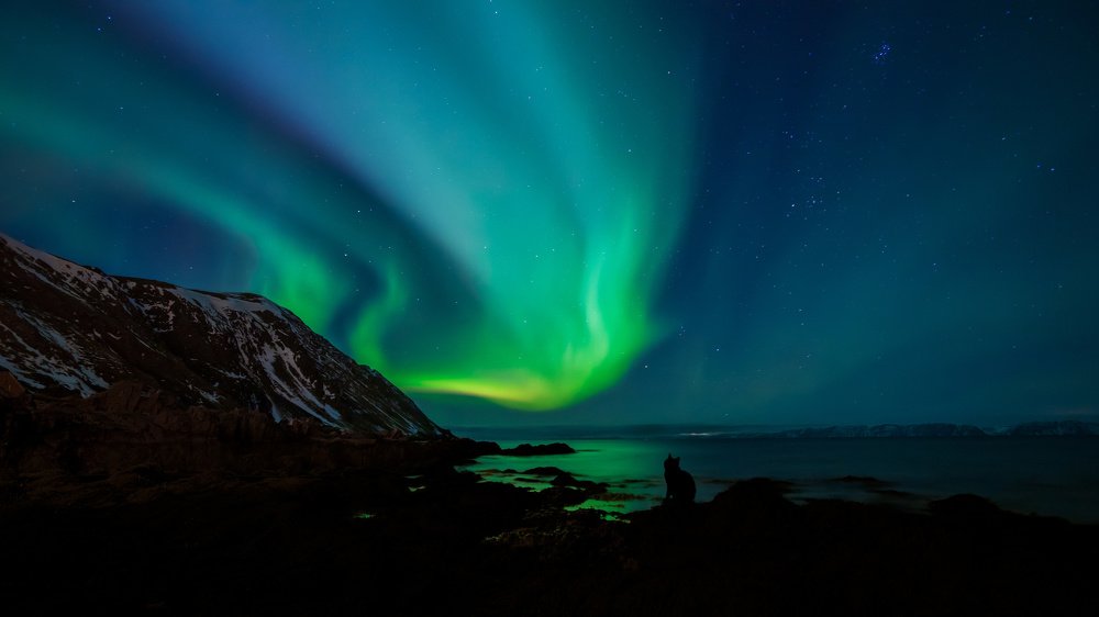 Photograph by Николай Сизиков