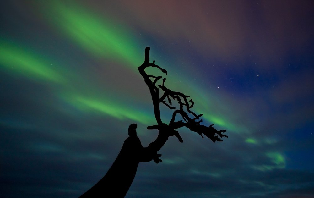 Photograph by Николай Сизиков