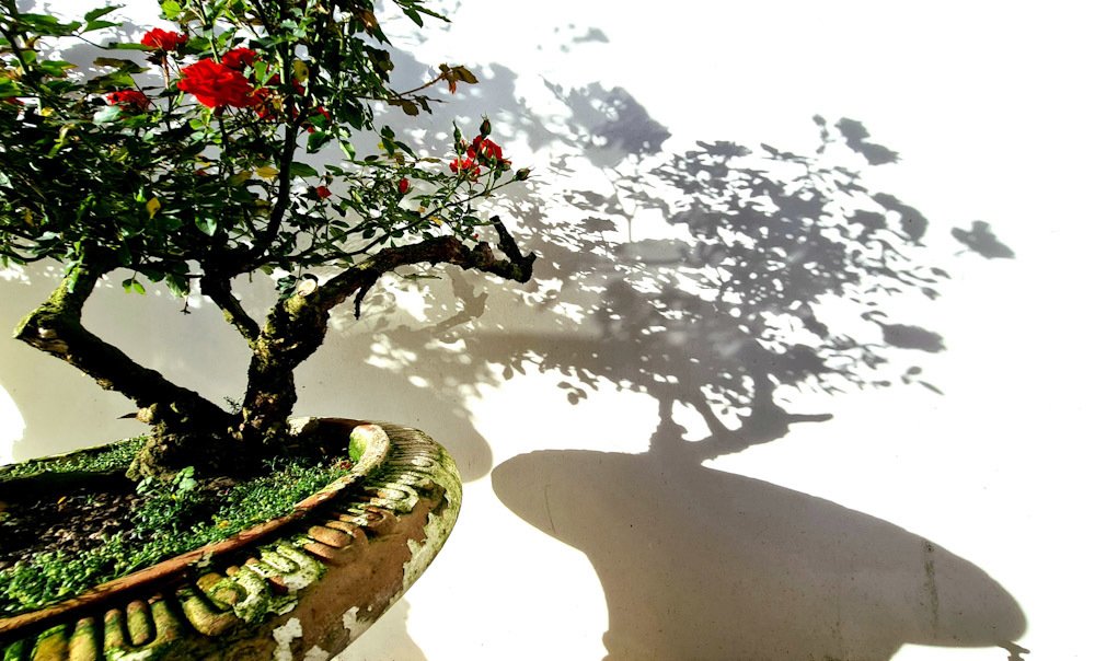 Фотография автора Đang Hong