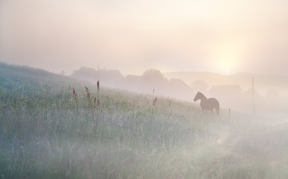 Photograph by Юлия Рублевская
