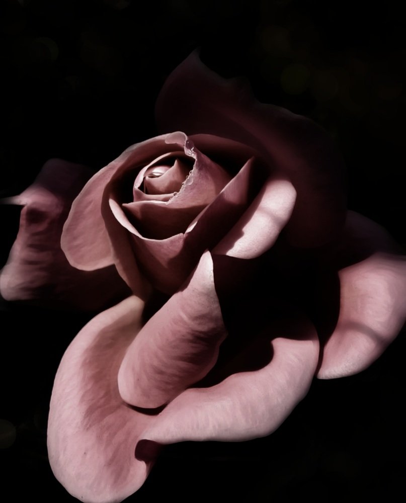 Photograph by Khaled ahmadi