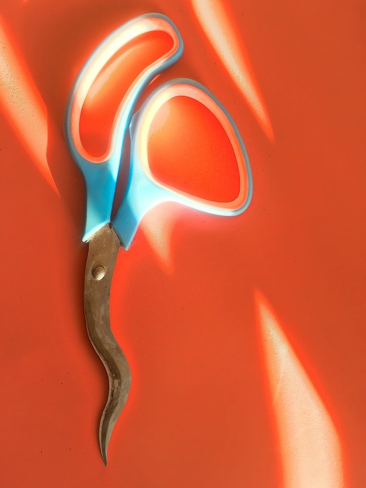 Фотография автора Manush Mahendra Kalwari