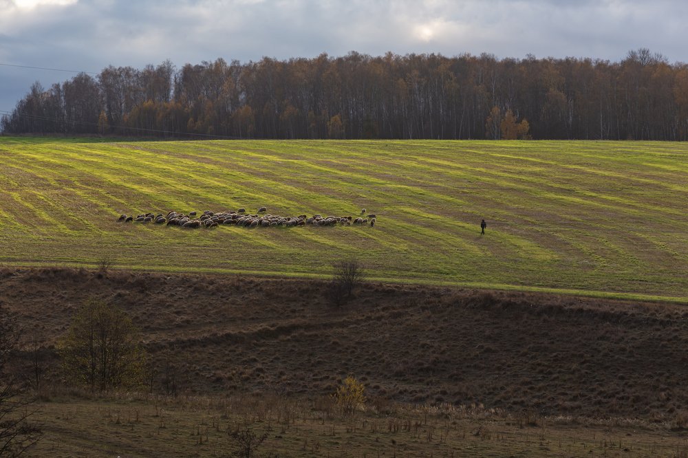 Photograph by Лидия Богданова