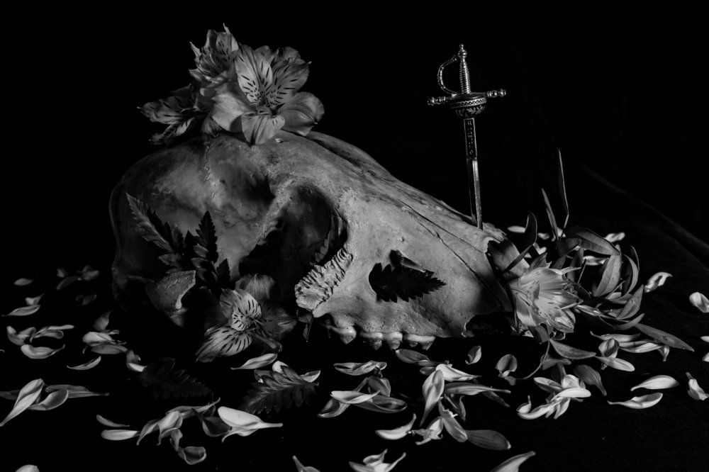 Photograph by Лидия Богданова