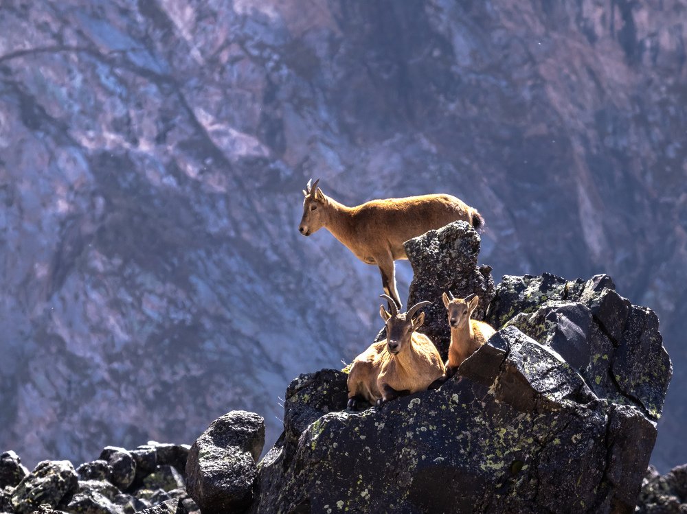 Photograph by Кобец Дмитрий