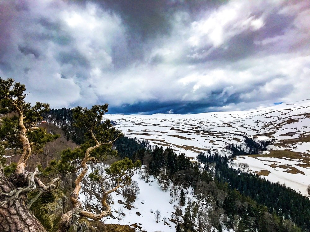 Photograph by Яна Лугинина