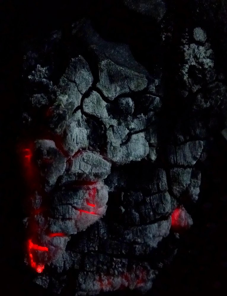 Photograph by Ritu Dinkar