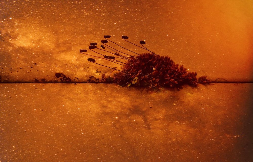 Фотография автора Manush Mahendra Kalwari