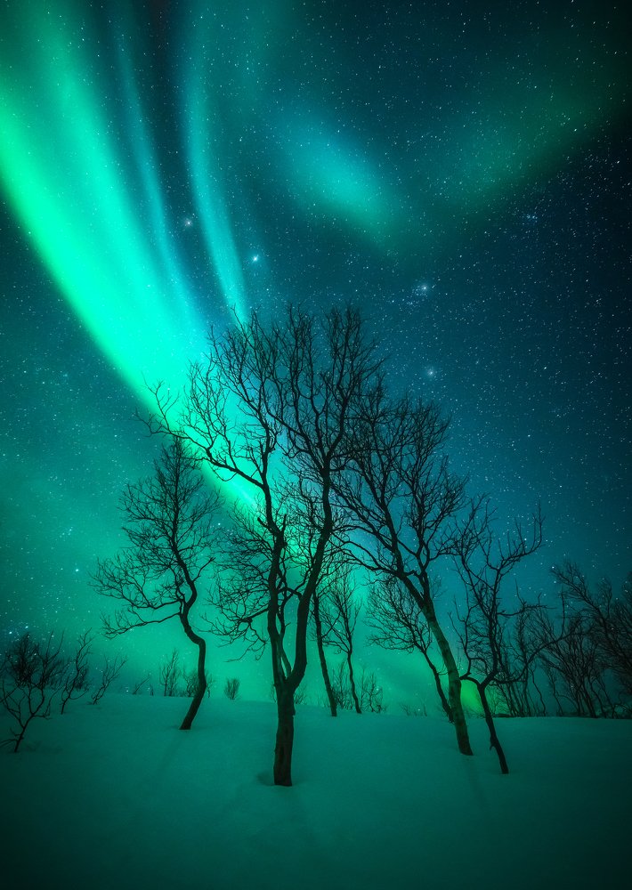 Photograph by Carlos Cuervo