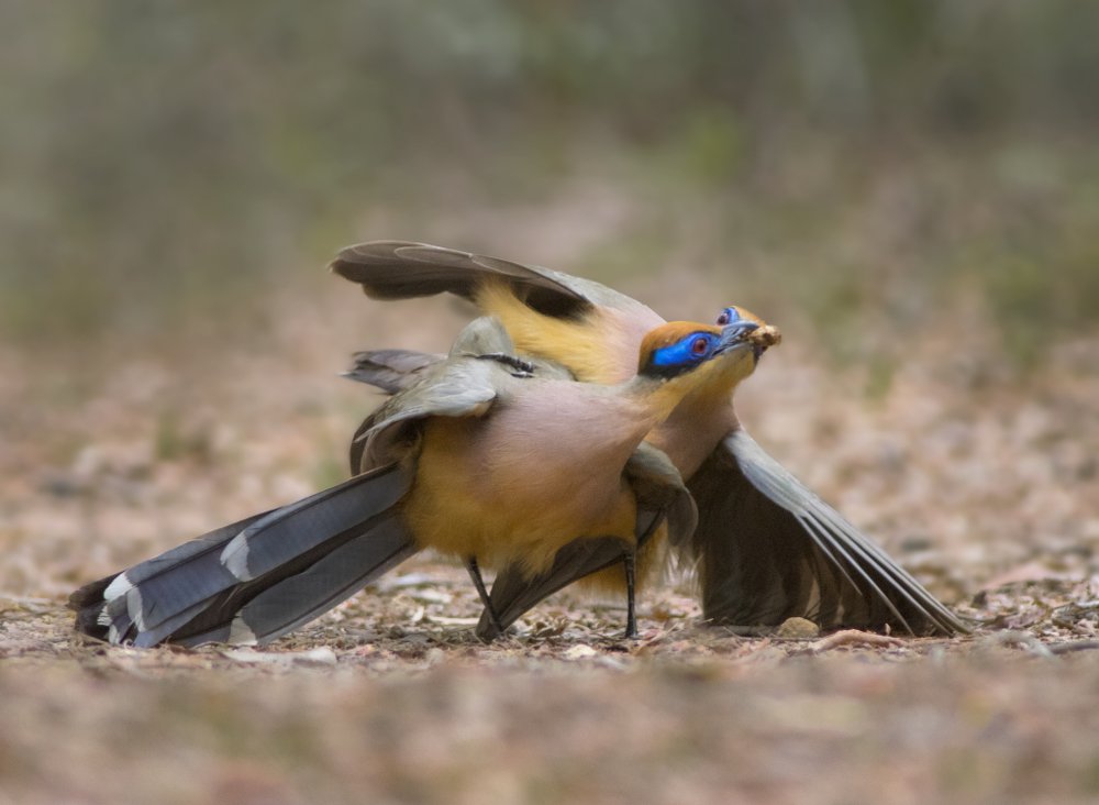 Photograph by Сергей Волков