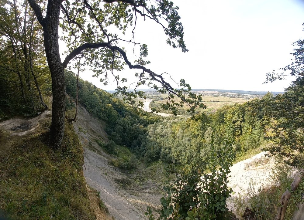 Photograph by Наталія Дронюк