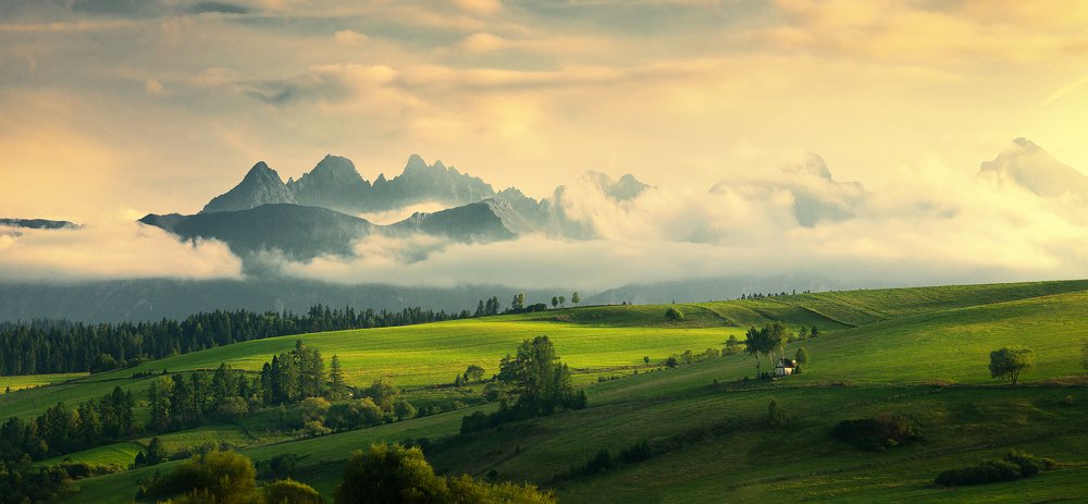 Photograph by Sieku Łukasz