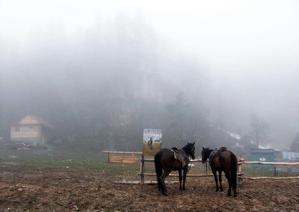 Photo #5458694