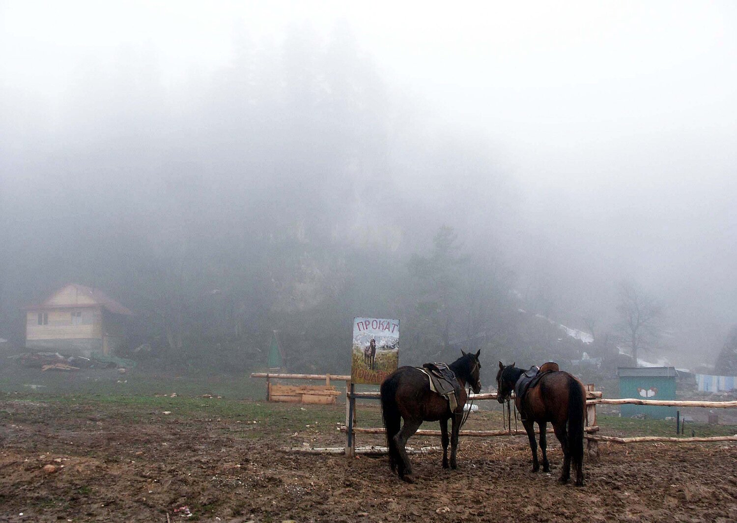 Photo #5458694