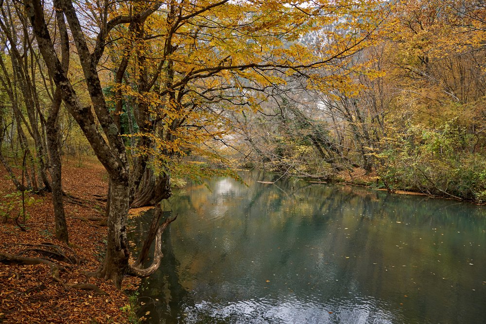 Photograph by Наталья Богач