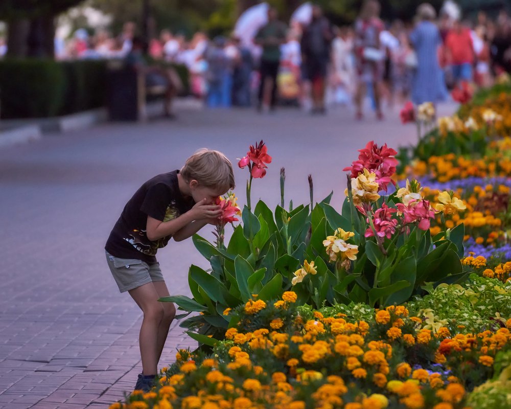 Photograph by Наталья Богач