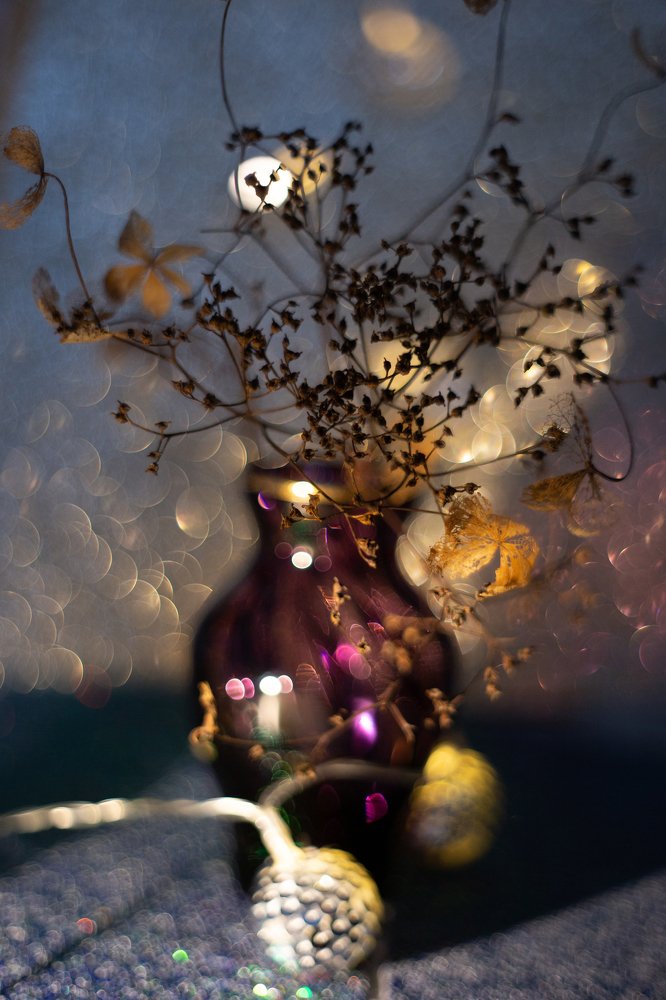 Photograph by Tatiana Kurilas