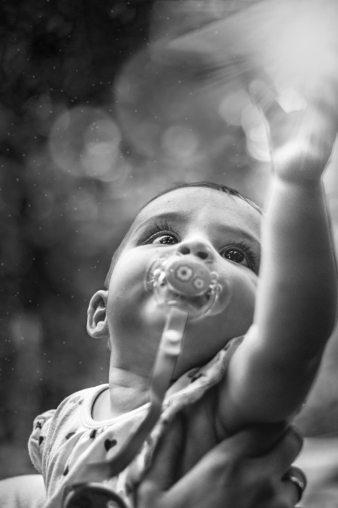 Фотография автора Алексей Гальчинский