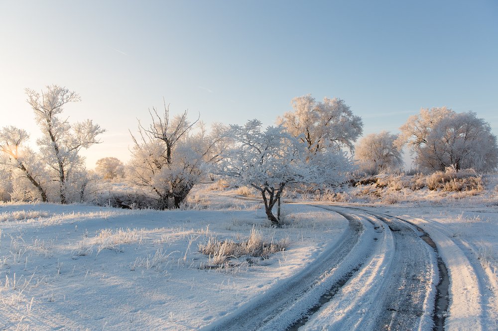 Photograph by Алексей Черенков