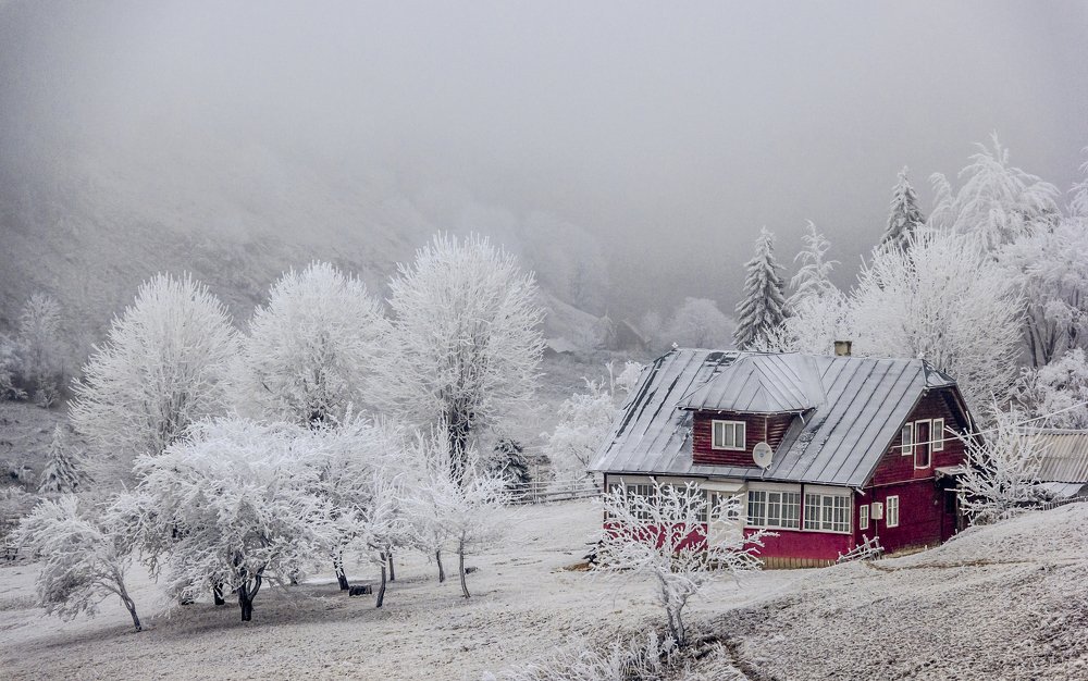 Фотография автора Comșa Bogdan
