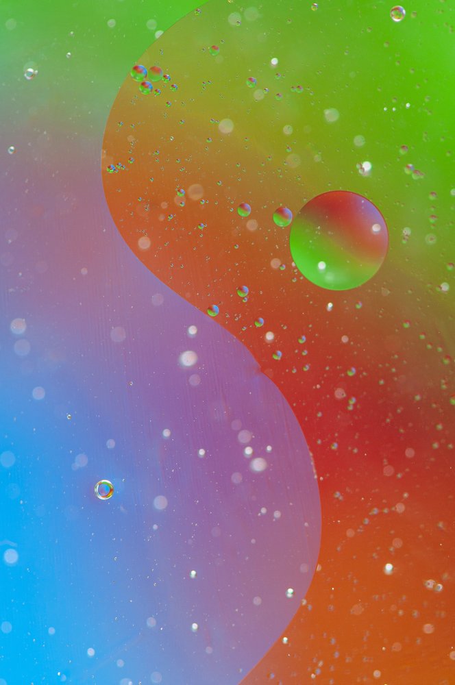 Photograph by Chamara Sulakkhana Polwatta Siriyalage