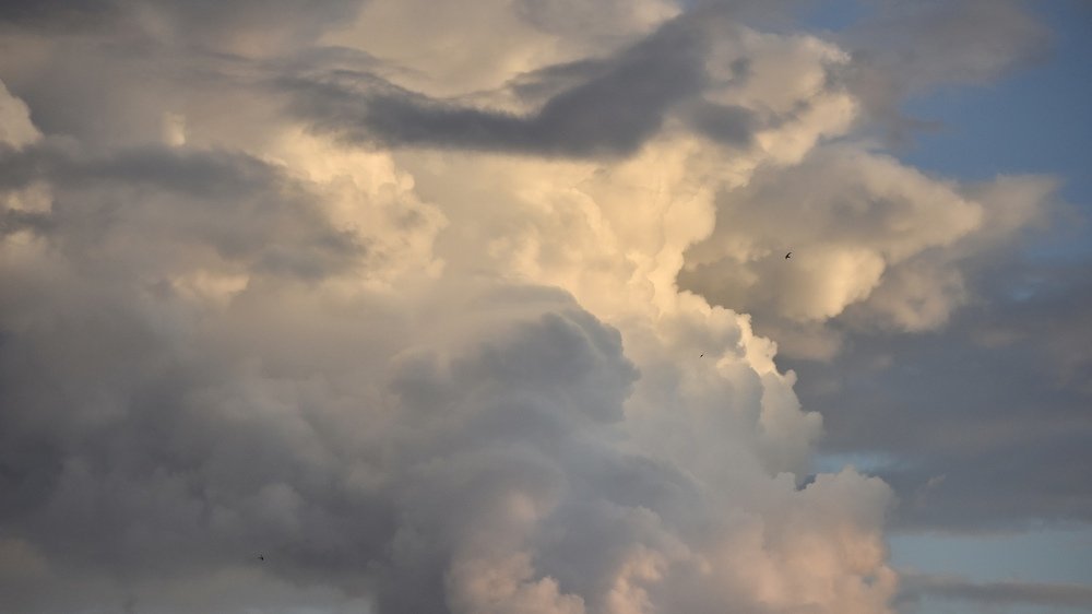 Фотография автора Павел Трегубов