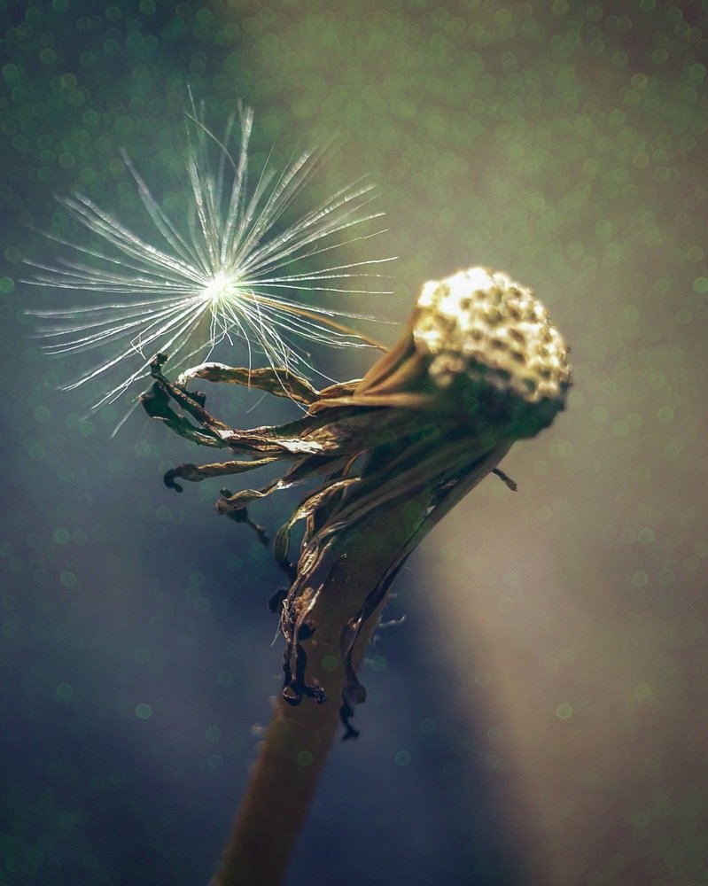 Photograph by Лариса Когтева